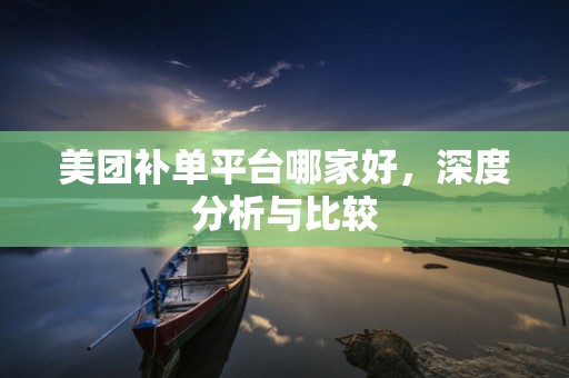 美团补单平台哪家好，深度分析与比较
