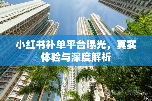 小红书补单平台曝光，真实体验与深度解析