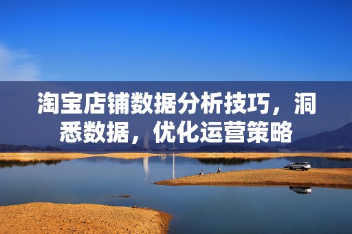淘宝店铺数据分析技巧，洞悉数据，优化运营策略