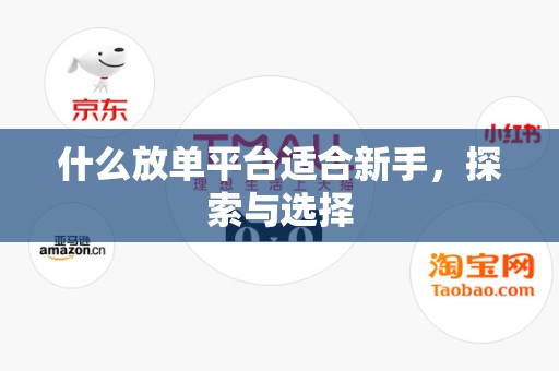 什么放单平台适合新手，探索与选择