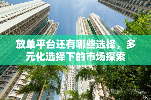 放单平台还有哪些选择，多元化选择下的市场探索