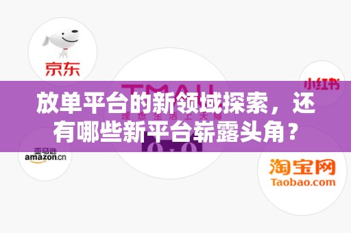 放单平台的新领域探索，还有哪些新平台崭露头角？