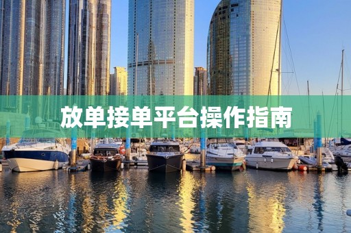 放单接单平台操作指南