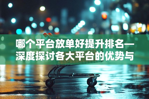 哪个平台放单好提升排名—深度探讨各大平台的优势与策略