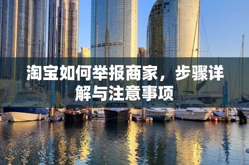 淘宝如何举报商家，步骤详解与注意事项