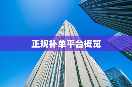 正规补单平台概览