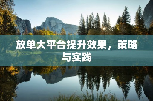 放单大平台提升效果，策略与实践