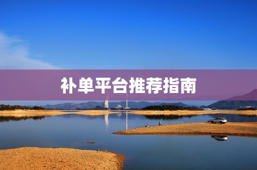 补单平台推荐指南