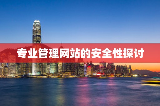 专业管理网站的安全性探讨