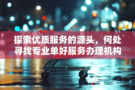 探索优质服务的源头，何处寻找专业单好服务办理机构