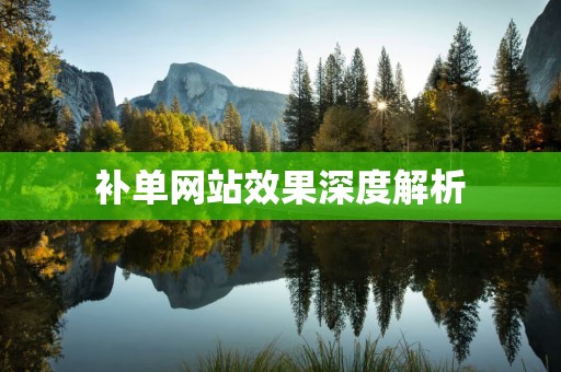 补单网站效果深度解析