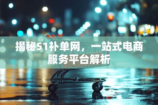 揭秘51补单网，一站式电商服务平台解析