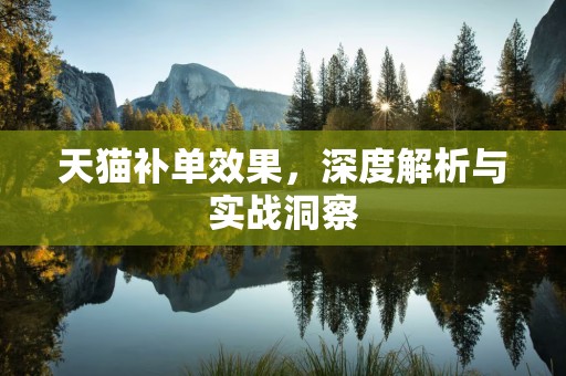 天猫补单效果，深度解析与实战洞察