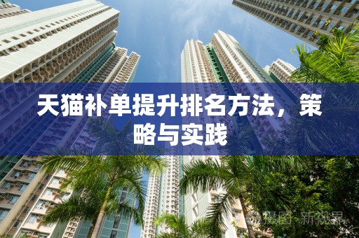 天猫补单提升排名方法，策略与实践
