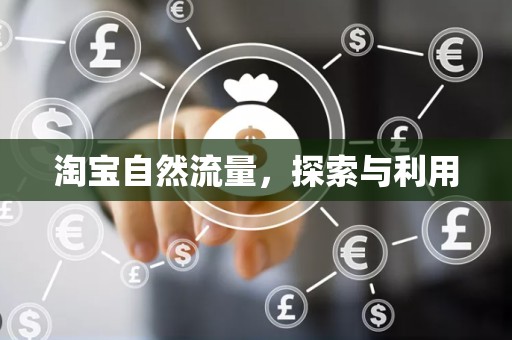淘宝自然流量，探索与利用