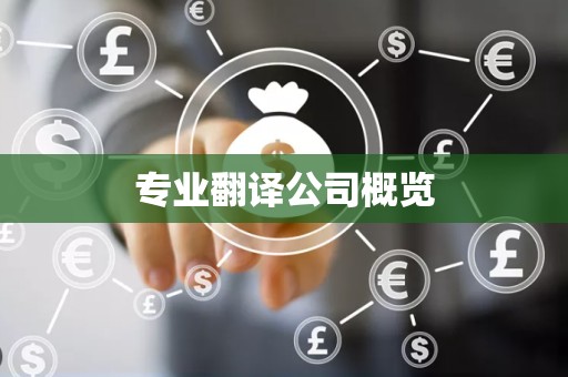 专业翻译公司概览