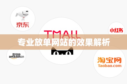 专业放单网站的效果解析