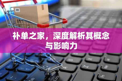 补单之家，深度解析其概念与影响力
