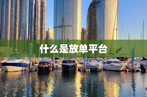 什么是放单平台