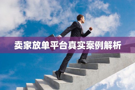 卖家放单平台真实案例解析