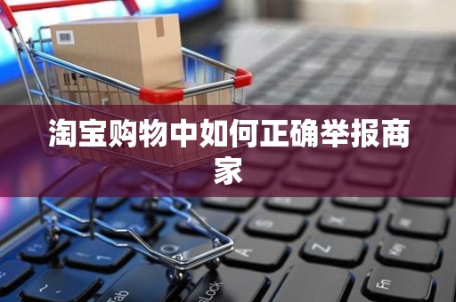 淘宝购物中如何正确举报商家
