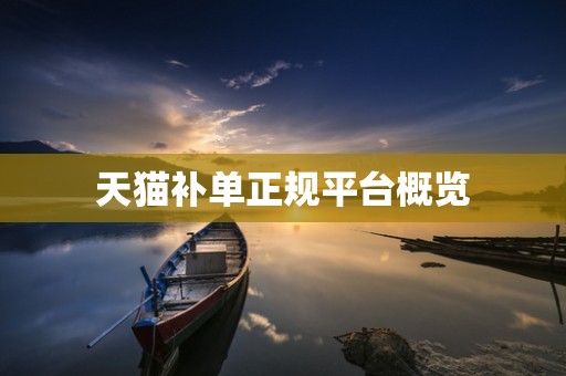 天猫补单正规平台概览