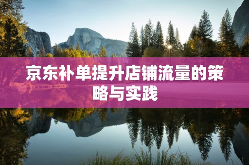 京东补单提升店铺流量的策略与实践