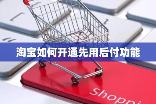 淘宝如何开通先用后付功能