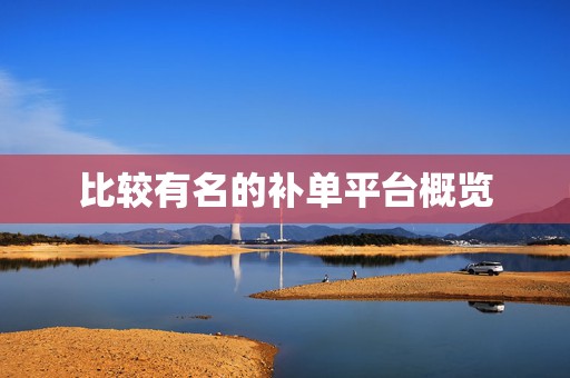 比较有名的补单平台概览
