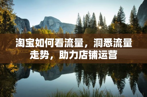 淘宝如何看流量，洞悉流量走势，助力店铺运营