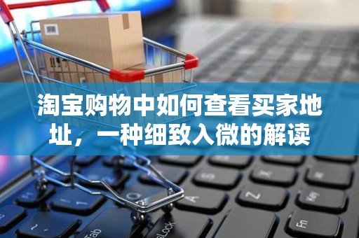 淘宝购物中如何查看买家地址，一种细致入微的解读