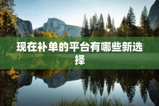 现在补单的平台有哪些新选择