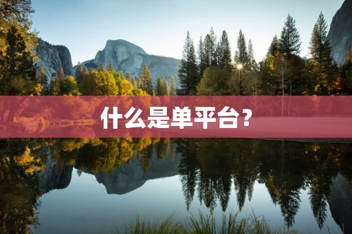 什么是单平台？