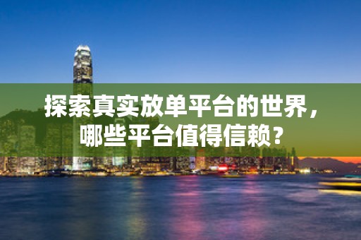 探索真实放单平台的世界，哪些平台值得信赖？