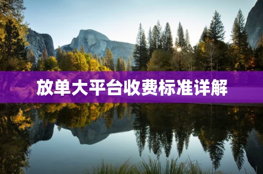 放单大平台收费标准详解