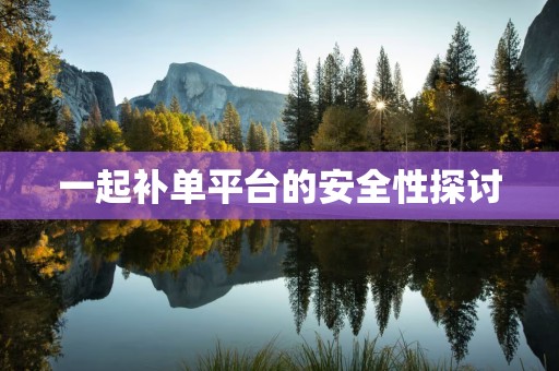 一起补单平台的安全性探讨