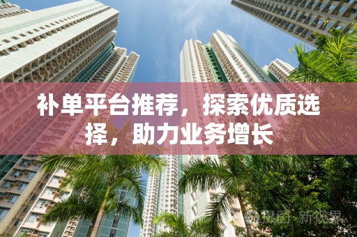 补单平台推荐，探索优质选择，助力业务增长