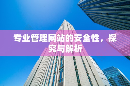 专业管理网站的安全性，探究与解析