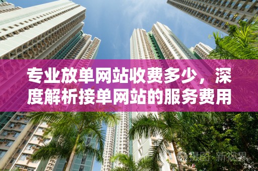 专业放单网站收费多少，深度解析接单网站的服务费用与运营模式