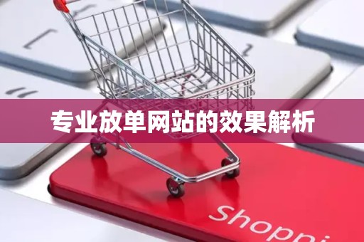 专业放单网站的效果解析