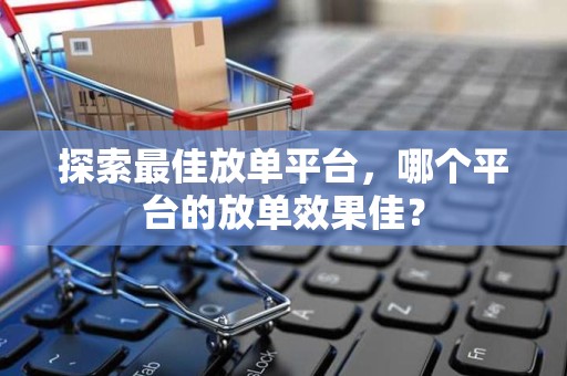 探索最佳放单平台，哪个平台的放单效果佳？
