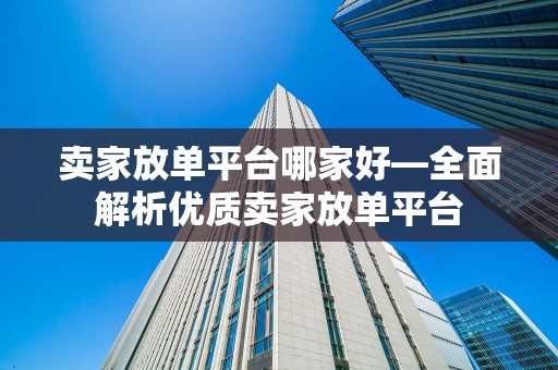 卖家放单平台哪家好—全面解析优质卖家放单平台