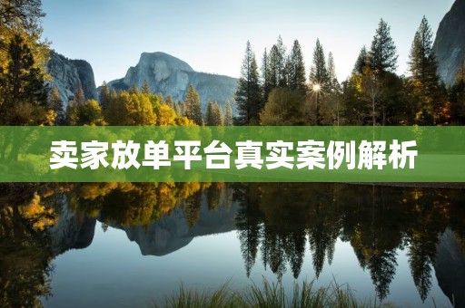 卖家放单平台真实案例解析