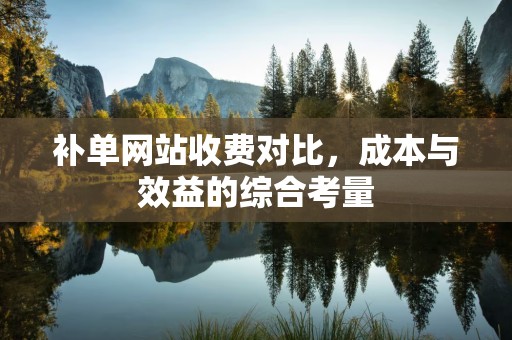 补单网站收费对比，成本与效益的综合考量
