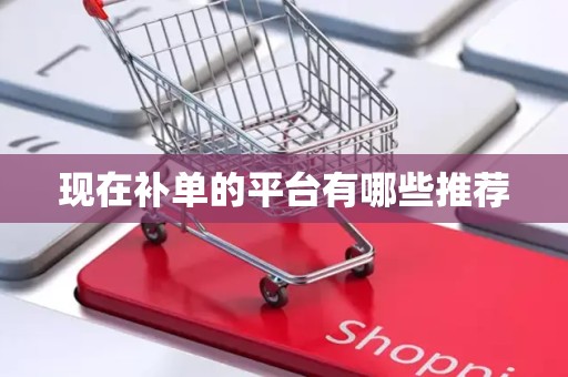 现在补单的平台有哪些推荐
