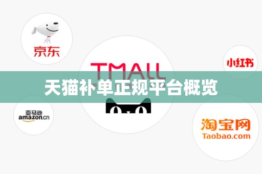 天猫补单正规平台概览