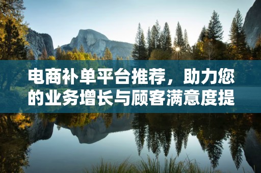 电商补单平台推荐，助力您的业务增长与顾客满意度提升
