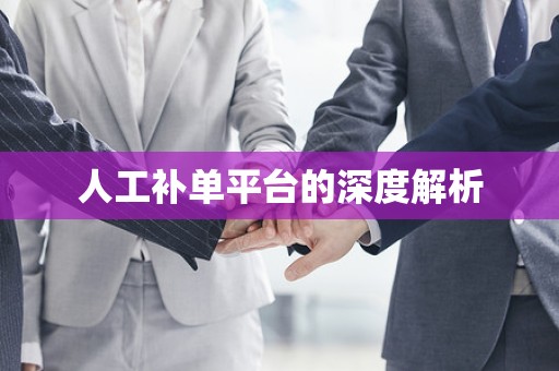 人工补单平台的深度解析