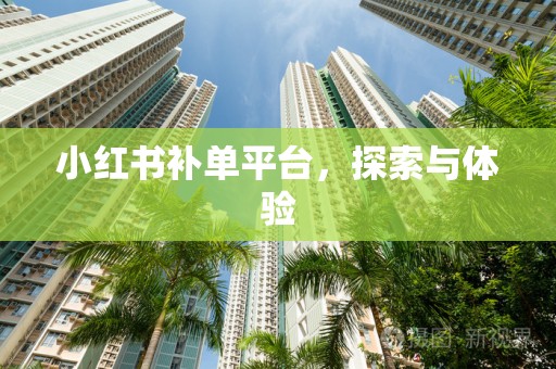 小红书补单平台，探索与体验