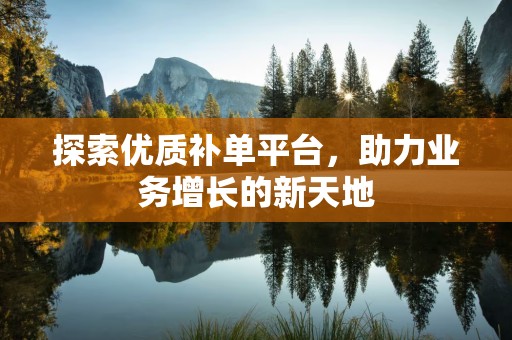 探索优质补单平台，助力业务增长的新天地